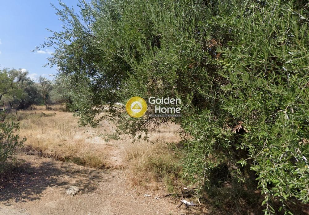 Parcel in Venio Daskaleiou, Keratea