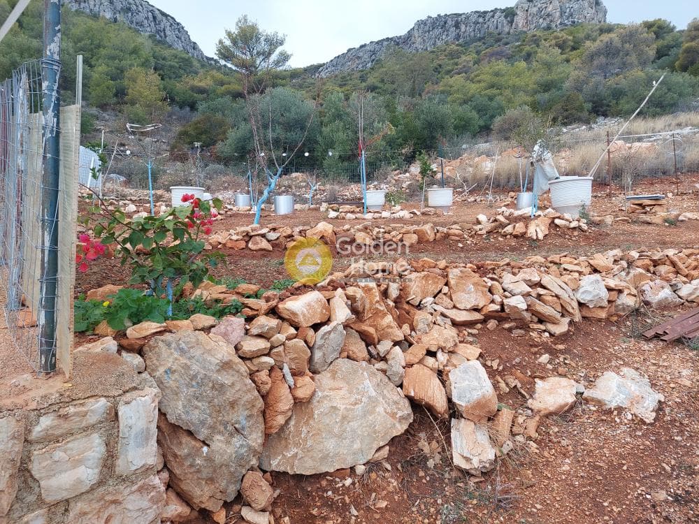 Building Plot in Center, Koropi — Photo 5 of 7