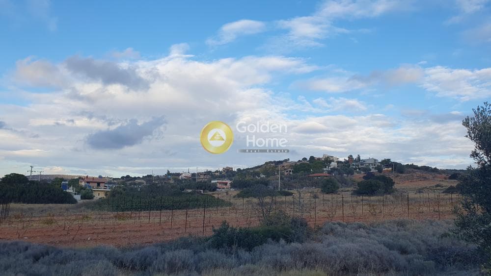 Οικόπεδο στην Αγία Μαρίνα, Κορωπί — Φωτογραφία 8 από 9