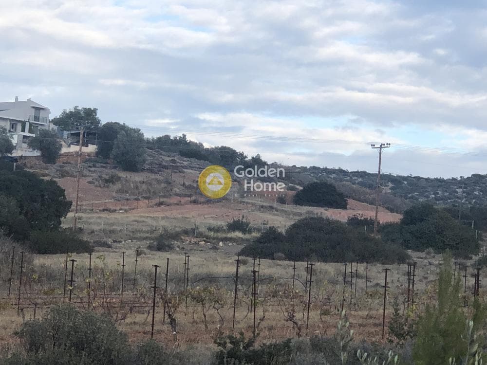 Οικόπεδο στην Αγία Μαρίνα, Κορωπί — Φωτογραφία 3 από 9