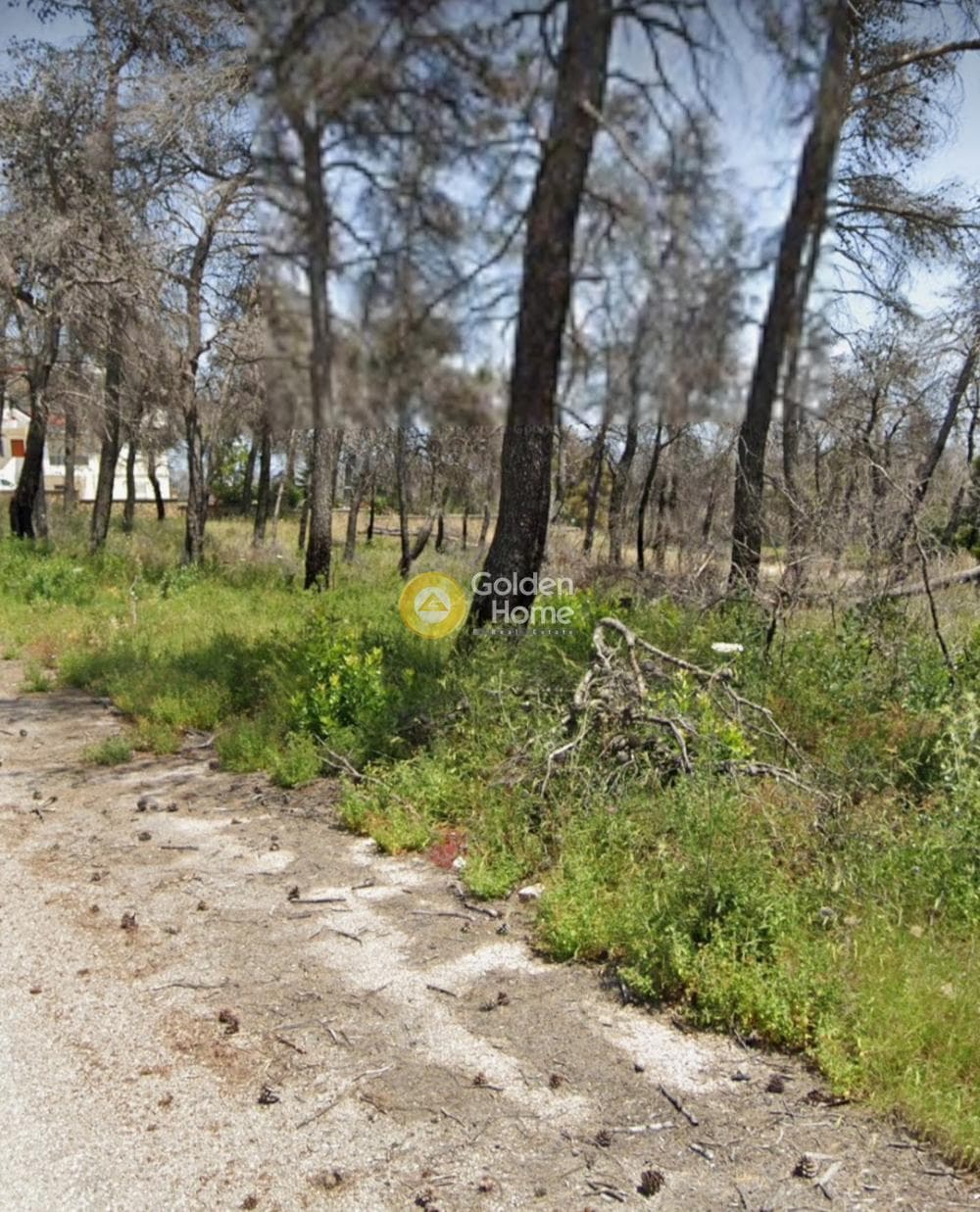 Οικόπεδο στην Αγία Τριάδα, Αφίδνες — Φωτογραφία 3 από 4