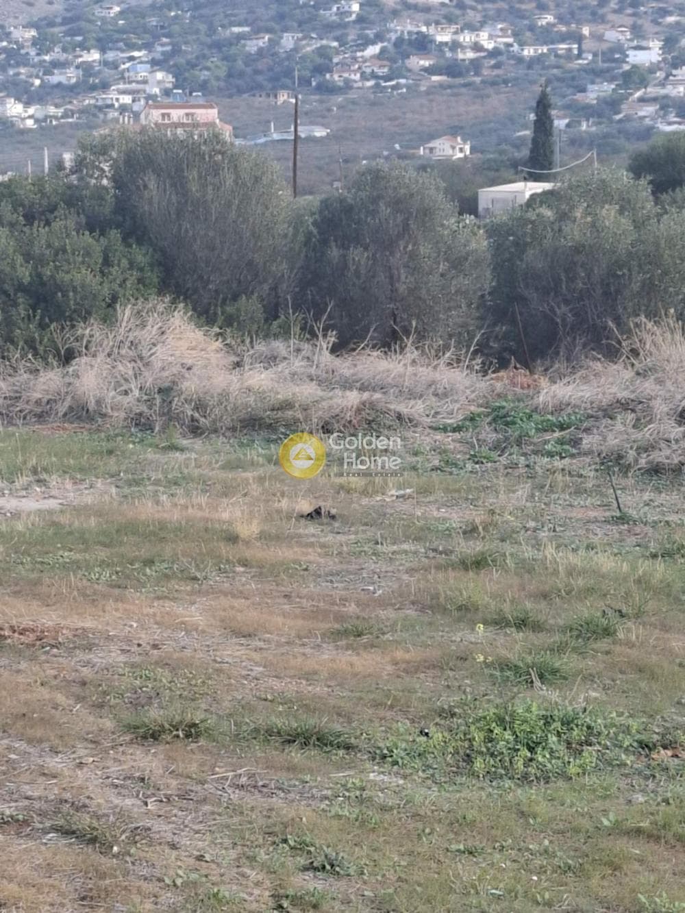 Building Plot in Agia Paraskevi, Salamina — Photo 1 of 4