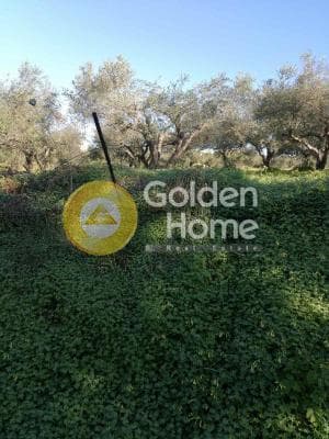 Parcel in Elia, Episkopi — Photo 3 of 5