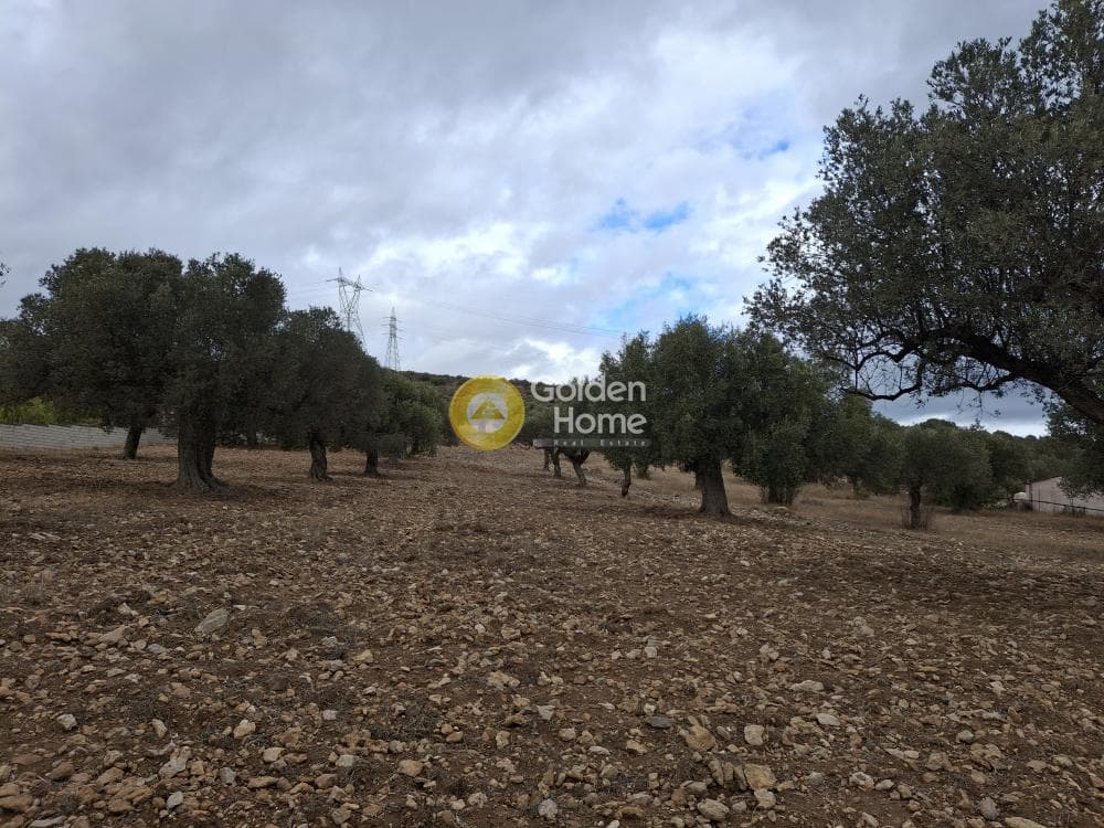 Αγροτεμάχιο στην Μητροπήσι, Κερατέα
