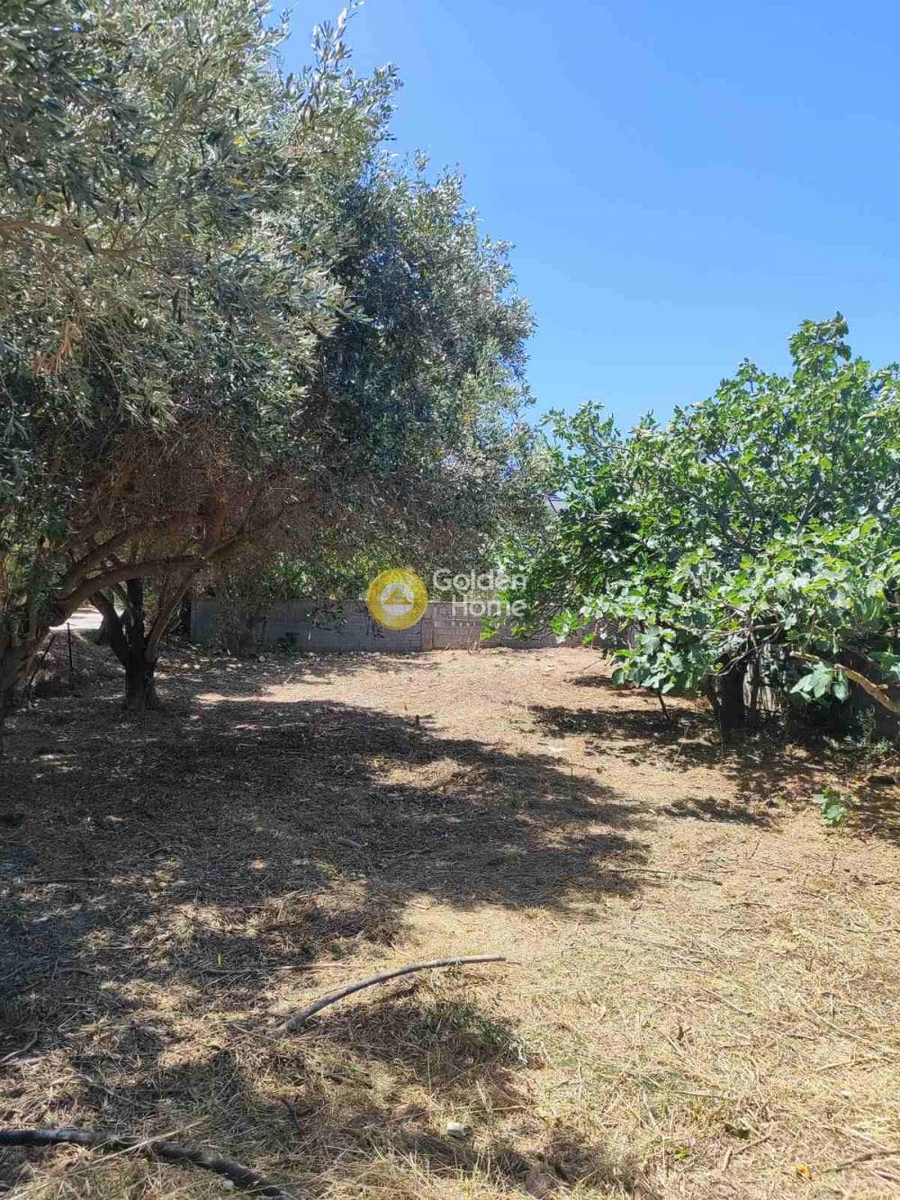 Οικόπεδο στην Καλύβια, Καλύβια Θορικού — Φωτογραφία 1 από 2