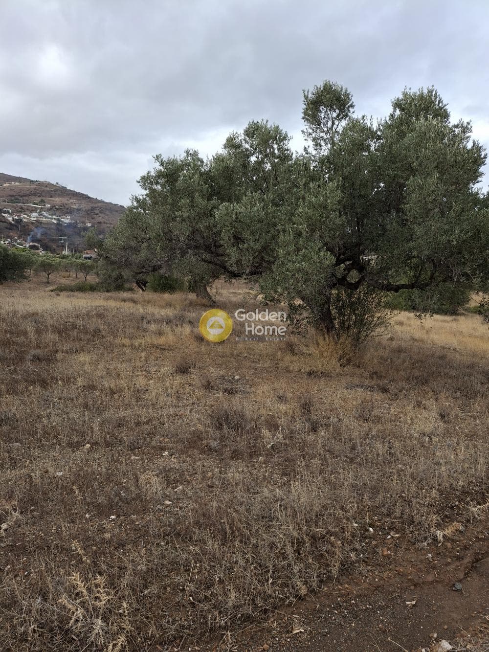 Αγροτεμάχιο στην Παλιοκαμάριζα, Λαύριο — Φωτογραφία 1 από 2