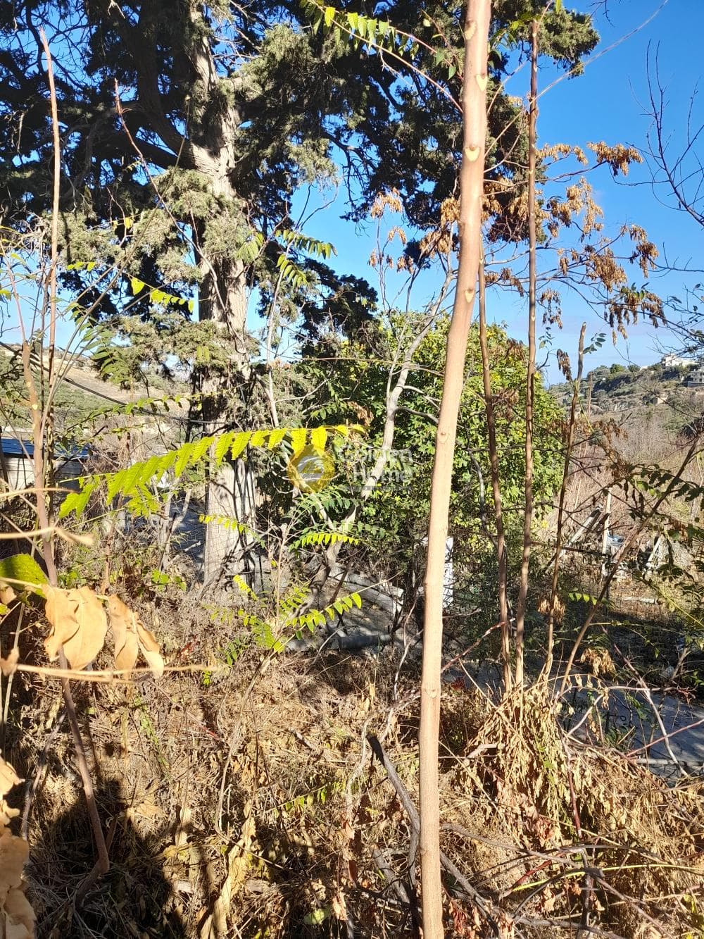 Οικόπεδο στην Βούτες, Τέμενος — Φωτογραφία 2 από 5