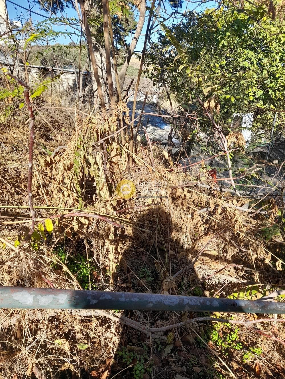 Οικόπεδο στην Βούτες, Τέμενος — Φωτογραφία 5 από 5