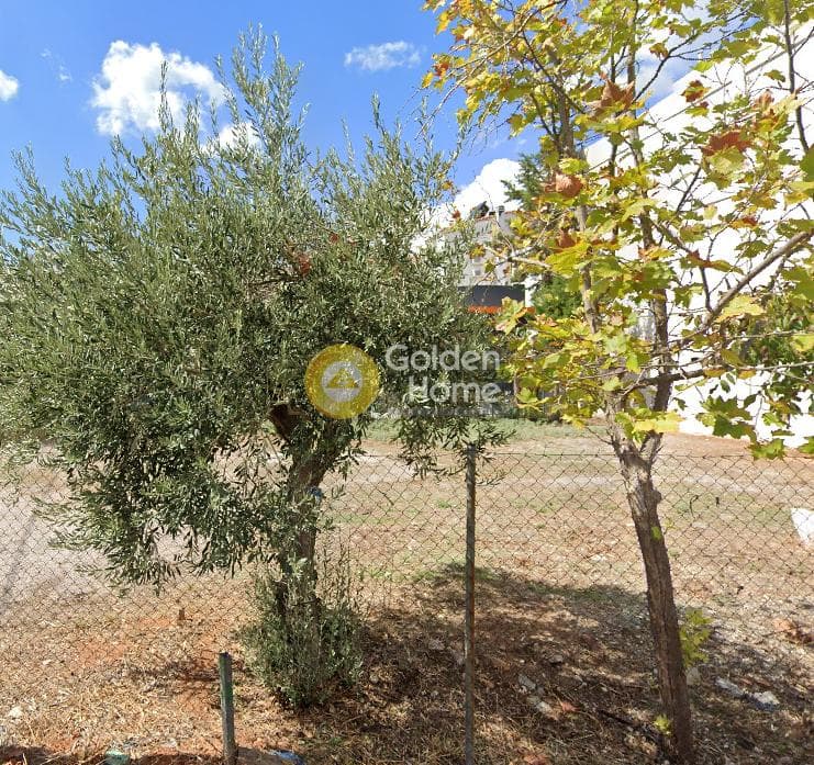 Apartment in Patima, Chalandri