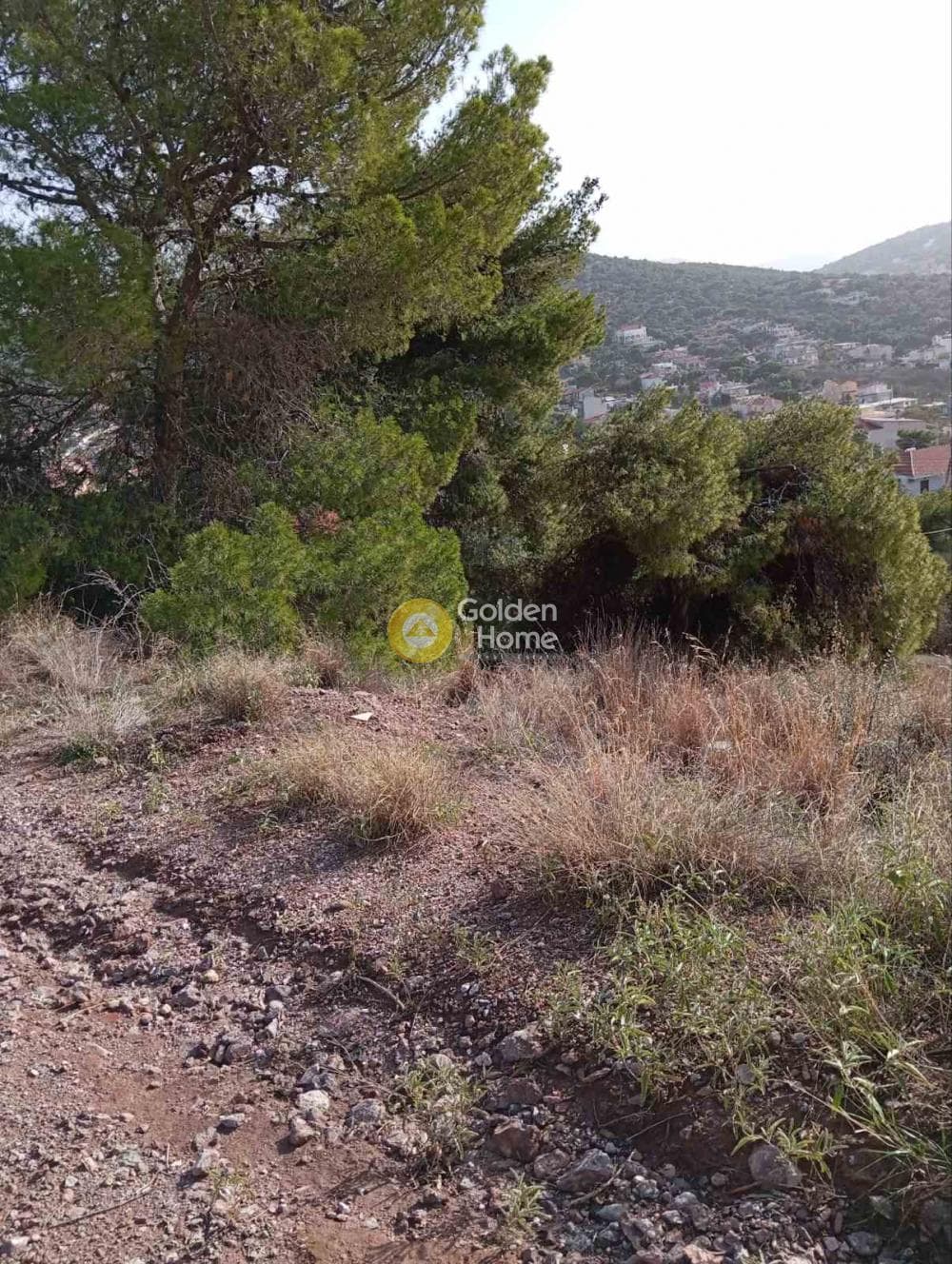 Building Plot in Agia Marina, Koropi — Photo 4 of 7