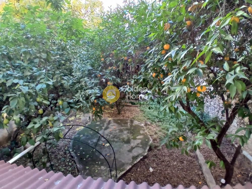 Apartment in Agios Panteleimonas, Patision - Acharnon — Photo 8 of 10