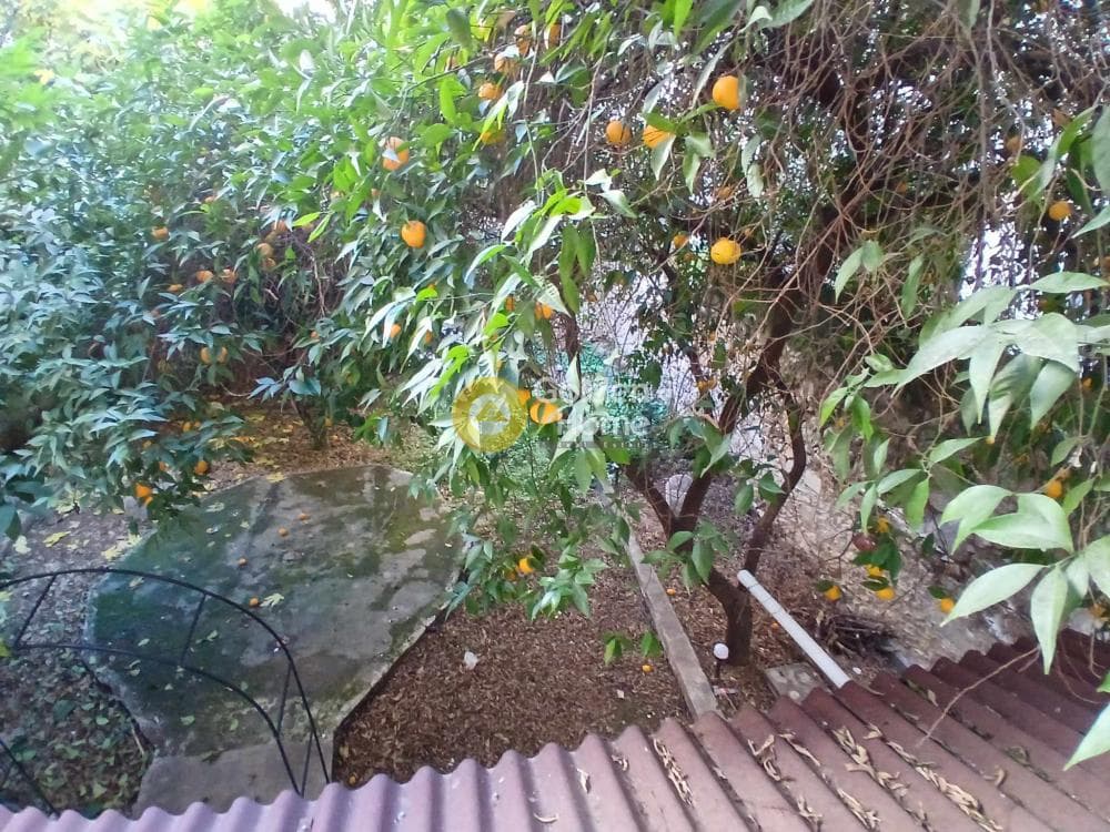Apartment in Agios Panteleimonas, Patision - Acharnon — Photo 9 of 10