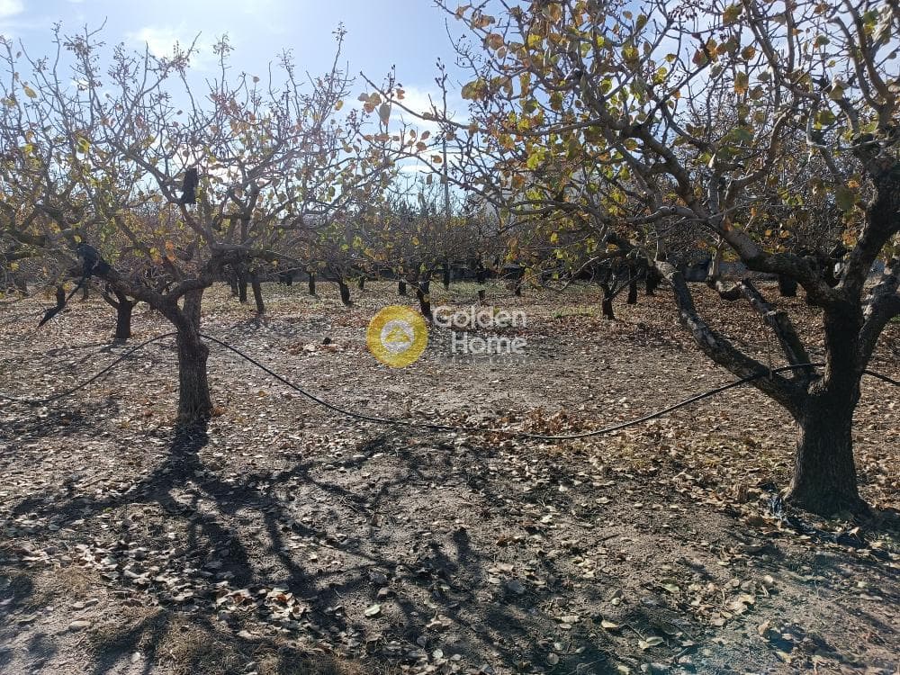 Οικόπεδο στην Ανάβυσσος Κέντρο, Ανάβυσσος — Φωτογραφία 1 από 6