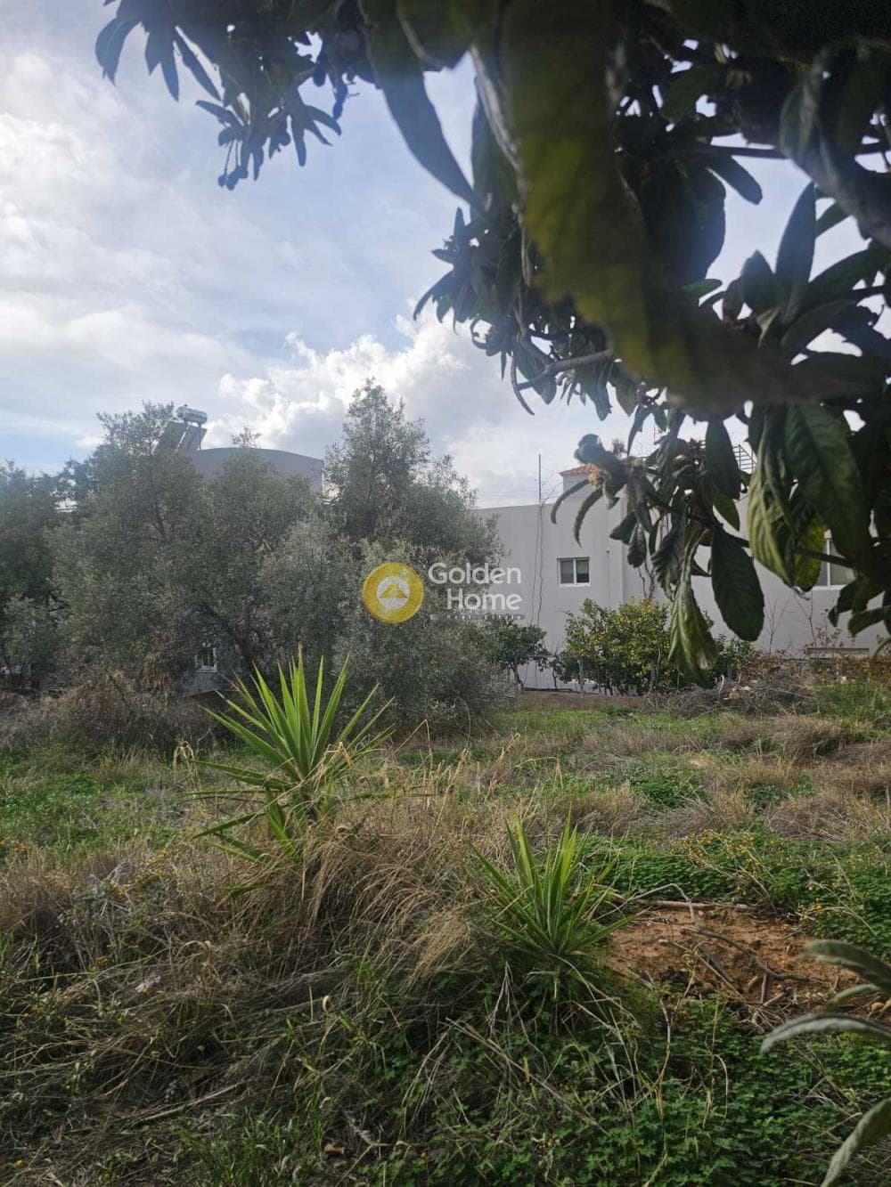 Οικόπεδο στην Οικισμός Κόκκινο Λιμανάκι, Ραφήνα — Φωτογραφία 6 από 12