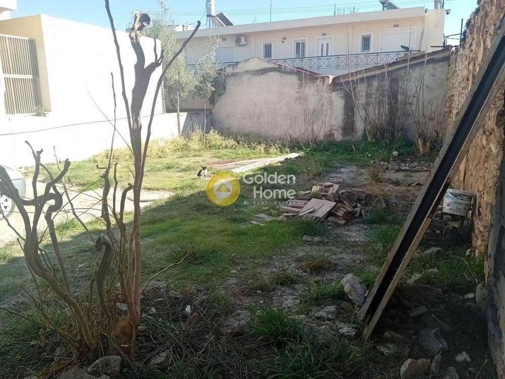 Οικόπεδο στην Ελαιώνας, Ανάβυσσος — Φωτογραφία 1 από 4