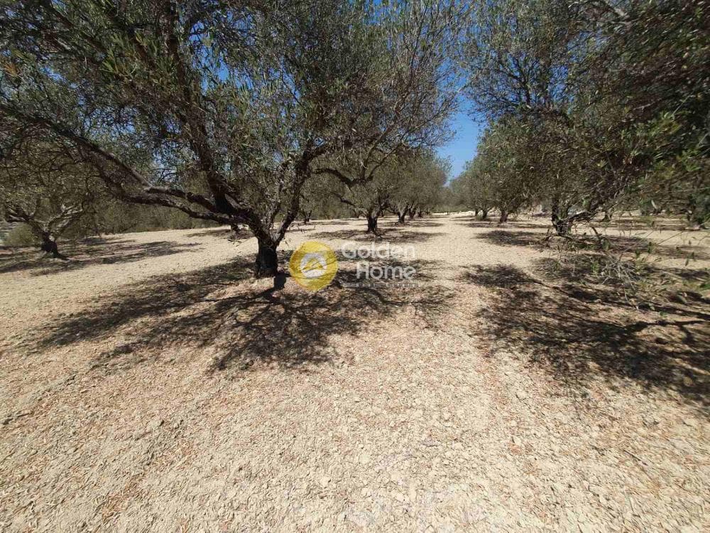 Parcel in Center, Archanes — Photo 1 of 2