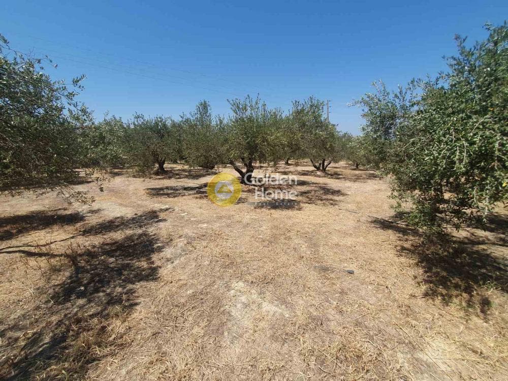 Parcel in Center, Archanes — Photo 2 of 2