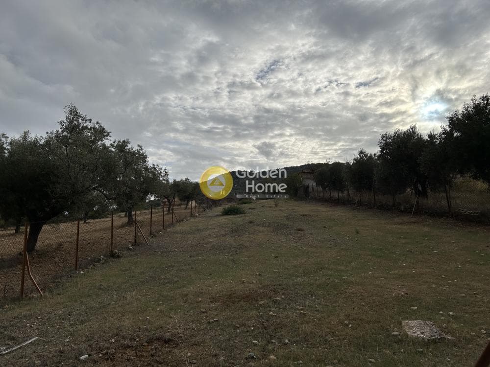 Parcel in Agia Marina, Koropi — Photo 1 of 4