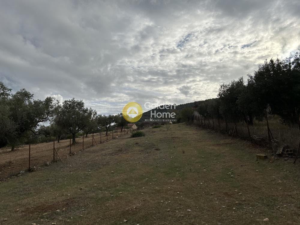 Parcel in Agia Marina, Koropi — Photo 2 of 4