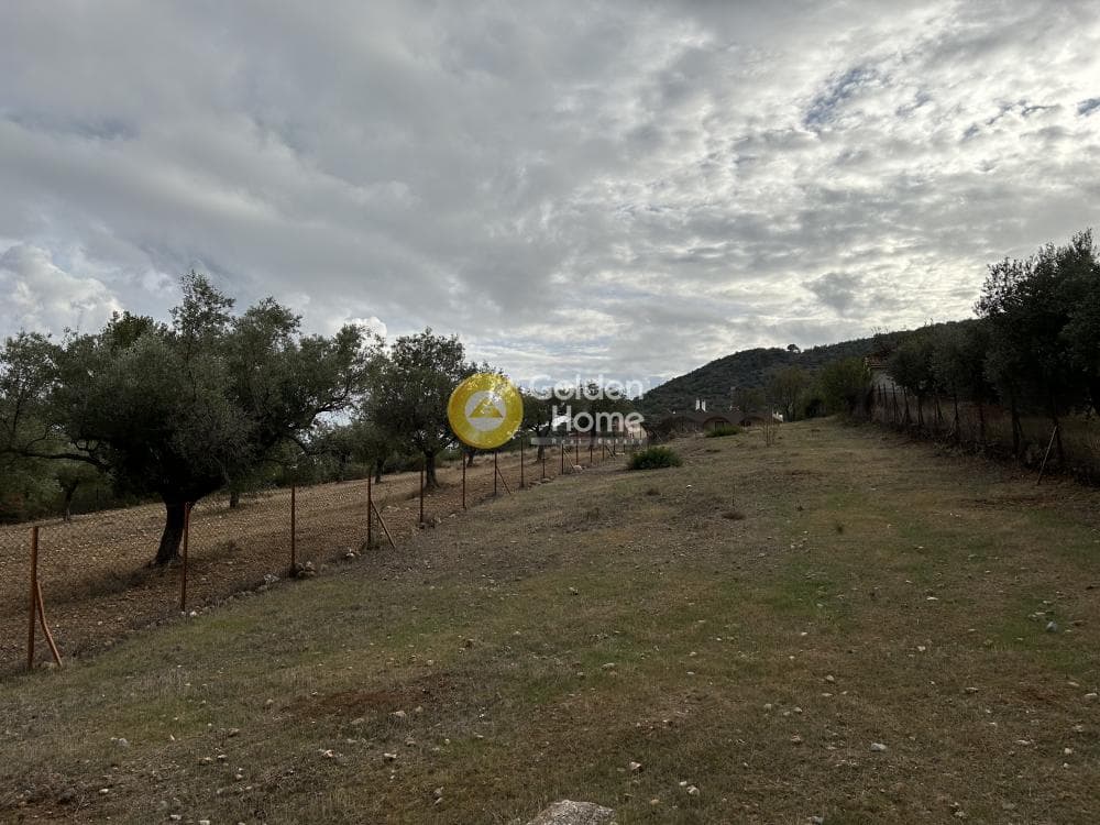 Parcel in Agia Marina, Koropi — Photo 3 of 4
