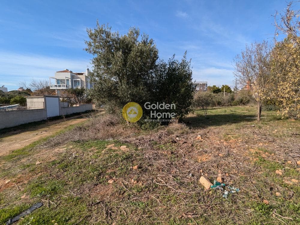 Οικόπεδο στην Άγιος Σεραφείμ, Αρτέμιδα (Λούτσα) — Φωτογραφία 1 από 5