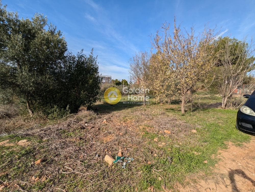 Οικόπεδο στην Άγιος Σεραφείμ, Αρτέμιδα (Λούτσα) — Φωτογραφία 3 από 5
