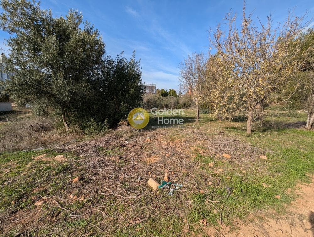Οικόπεδο στην Άγιος Σεραφείμ, Αρτέμιδα (Λούτσα) — Φωτογραφία 4 από 5