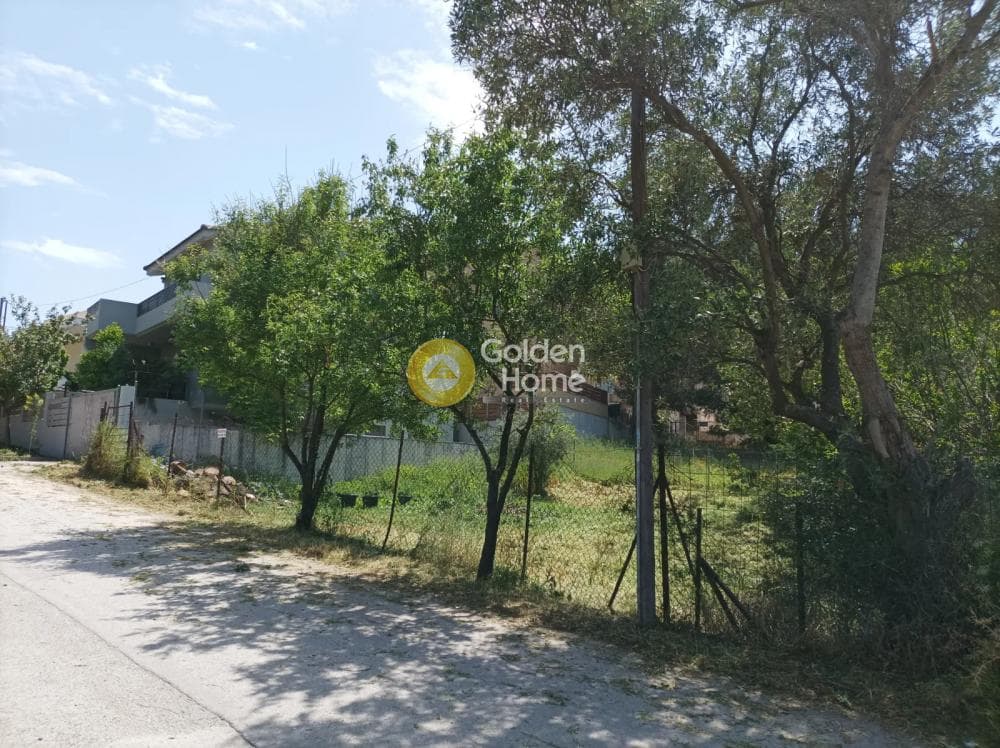 Οικόπεδο στην Αδάμες (Οικισμός Γράμμος - Φοίνικας), Κηφισιά — Φωτογραφία 2 από 3