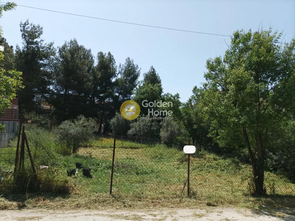 Οικόπεδο στην Αδάμες (Οικισμός Γράμμος - Φοίνικας), Κηφισιά — Φωτογραφία 1 από 3