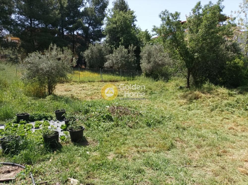 Οικόπεδο στην Αδάμες (Οικισμός Γράμμος - Φοίνικας), Κηφισιά — Φωτογραφία 3 από 3
