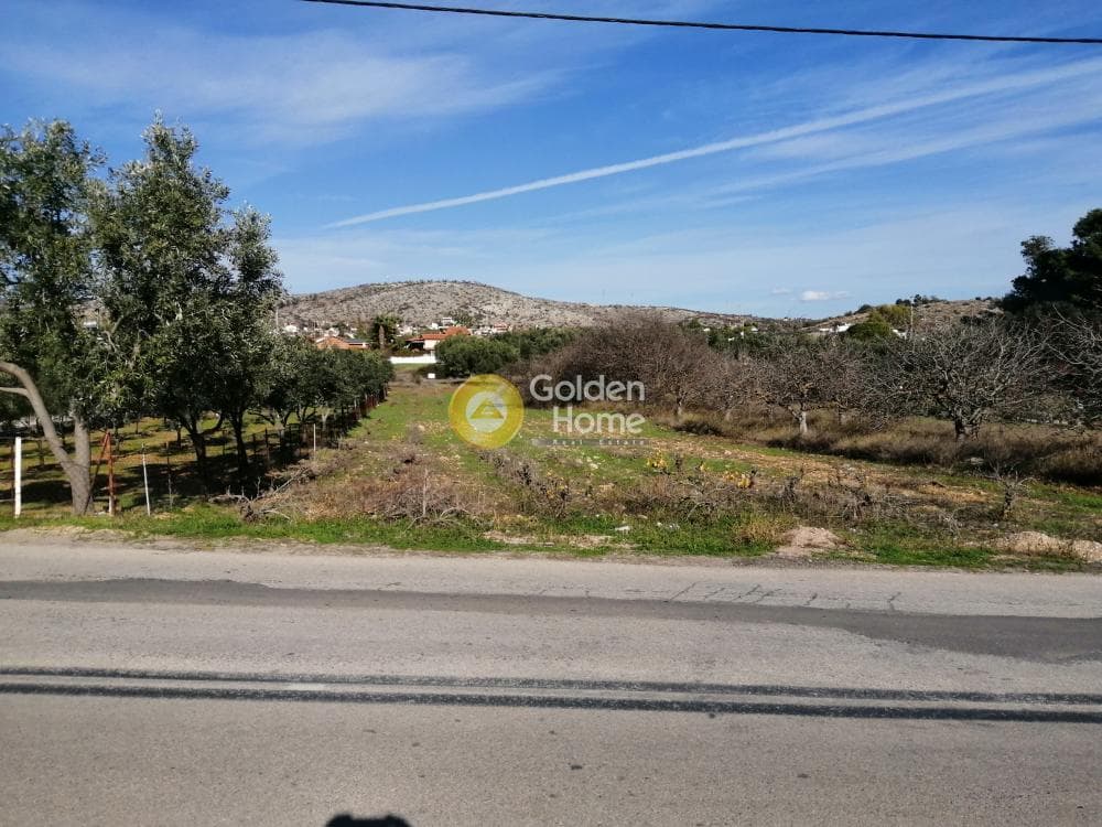 Parcel in Lamprika, Koropi — Photo 2 of 6