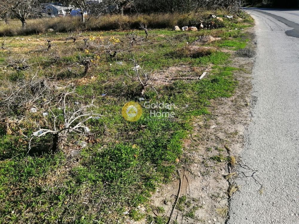 Parcel in Lamprika, Koropi — Photo 1 of 6