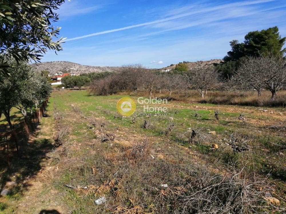 Parcel in Lamprika, Koropi — Photo 3 of 6