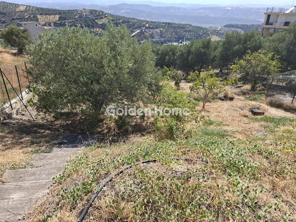 Building Plot in Vasileies, Archanes — Photo 6 of 11