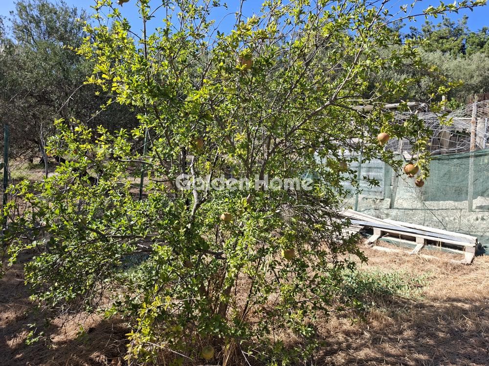 Building Plot in Vasileies, Archanes — Photo 9 of 11