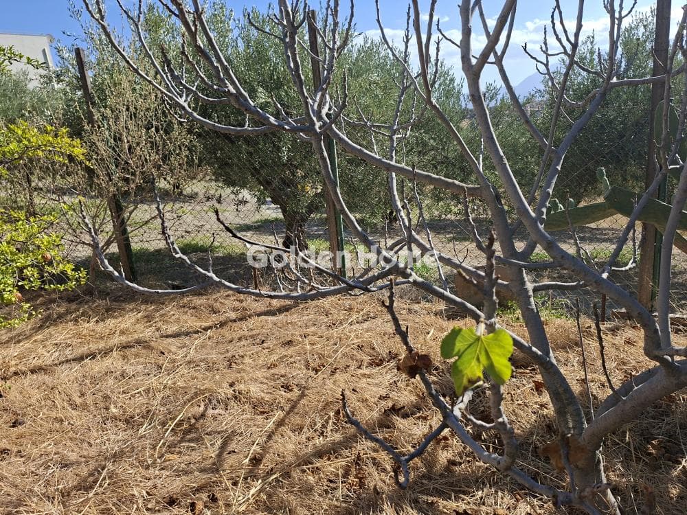 Building Plot in Vasileies, Archanes — Photo 10 of 11