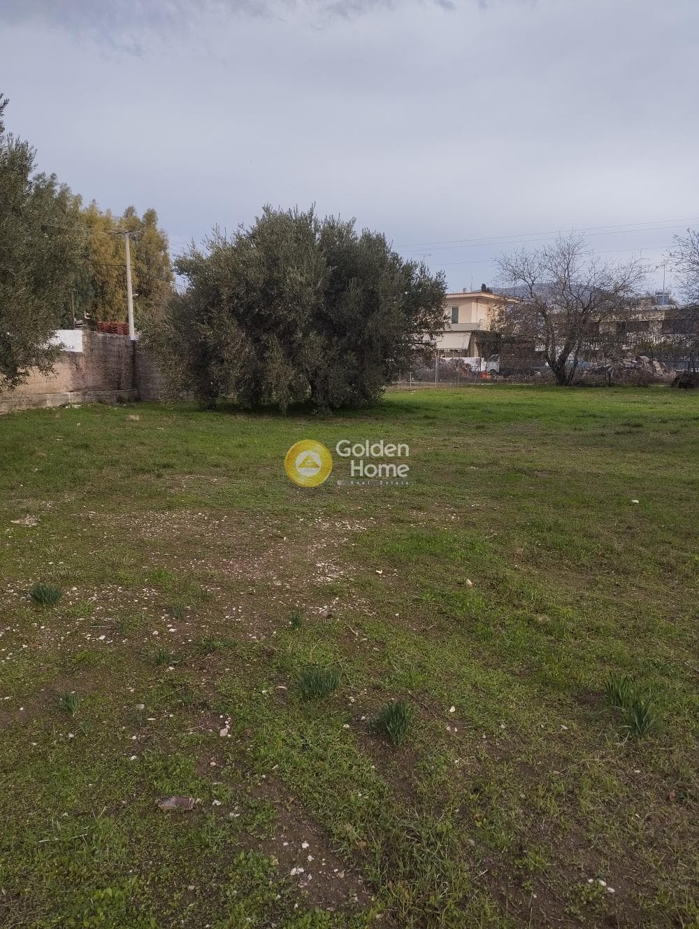 Οικόπεδο στην Ελαιώνας, Ανάβυσσος — Φωτογραφία 1 από 2