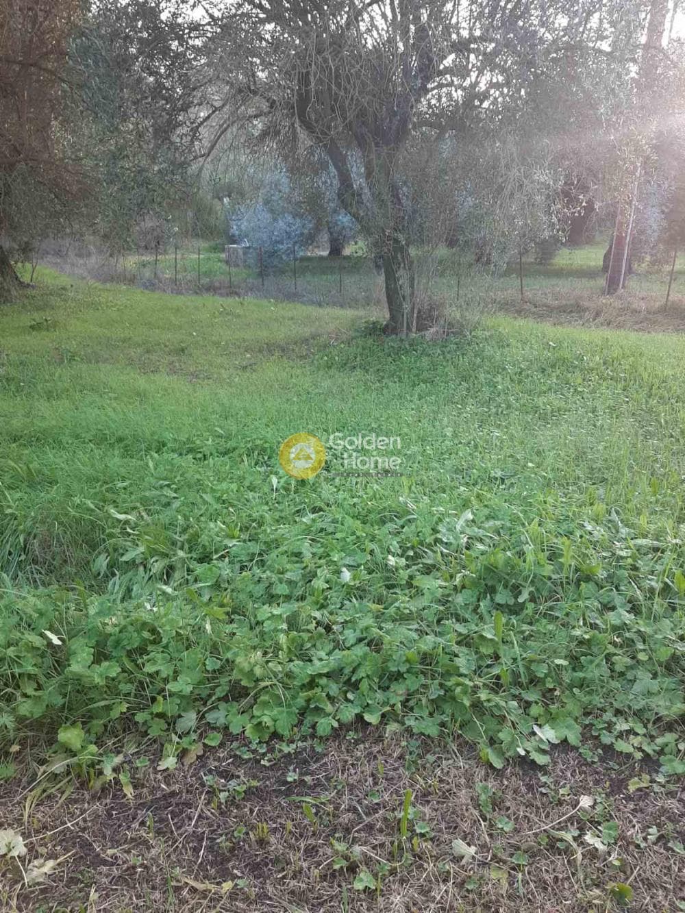 Οικόπεδο στην Παρέλι, Κέρκυρα — Φωτογραφία 7 από 14