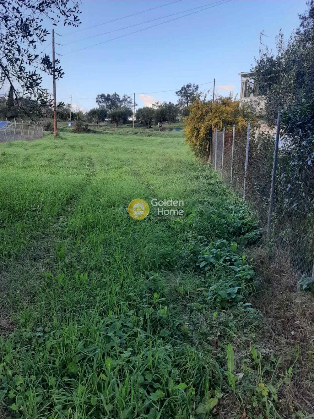 Οικόπεδο στην Παρέλι, Κέρκυρα — Φωτογραφία 3 από 14