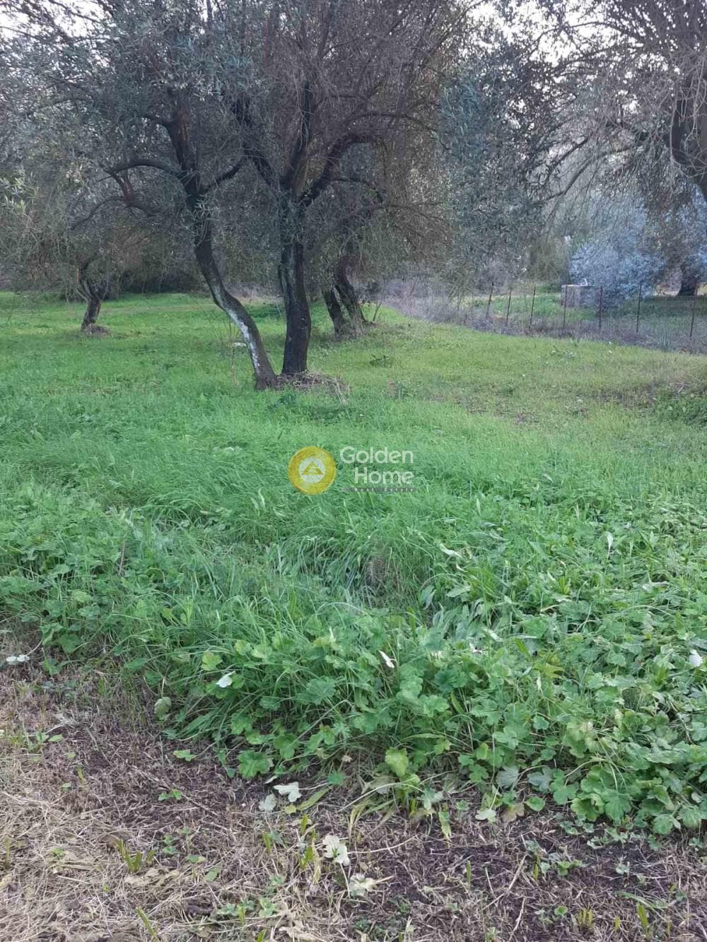 Οικόπεδο στην Παρέλι, Κέρκυρα — Φωτογραφία 5 από 14