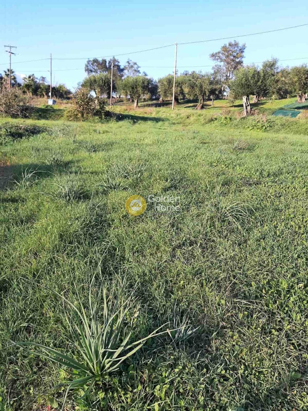 Οικόπεδο στην Παρέλι, Κέρκυρα — Φωτογραφία 2 από 14