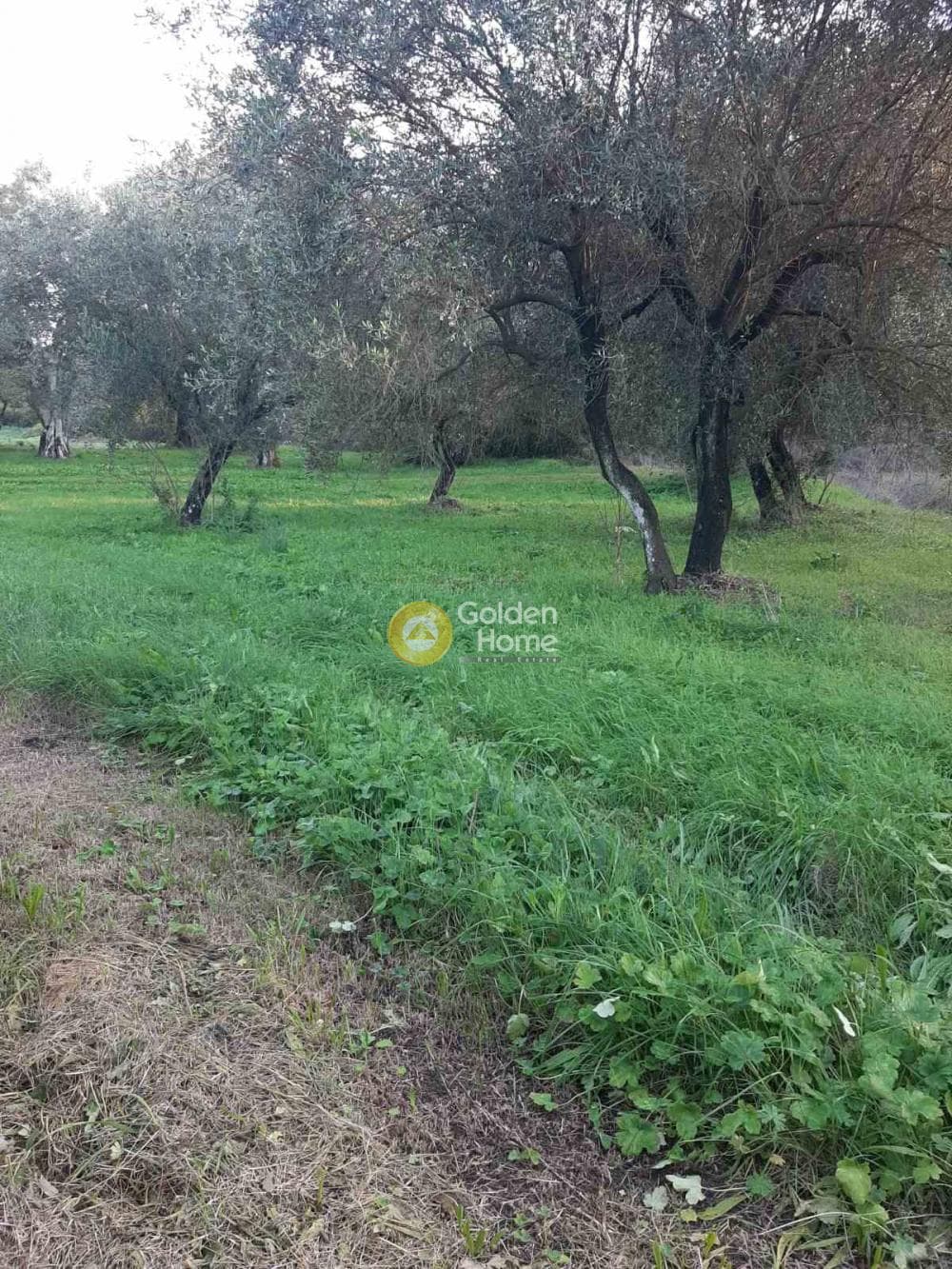 Οικόπεδο στην Παρέλι, Κέρκυρα — Φωτογραφία 6 από 14