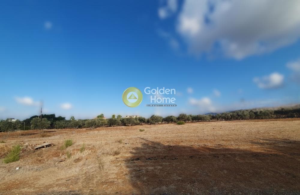Οικόπεδο στην Κάτω Γούβες, Γούβες — Φωτογραφία 3 από 3