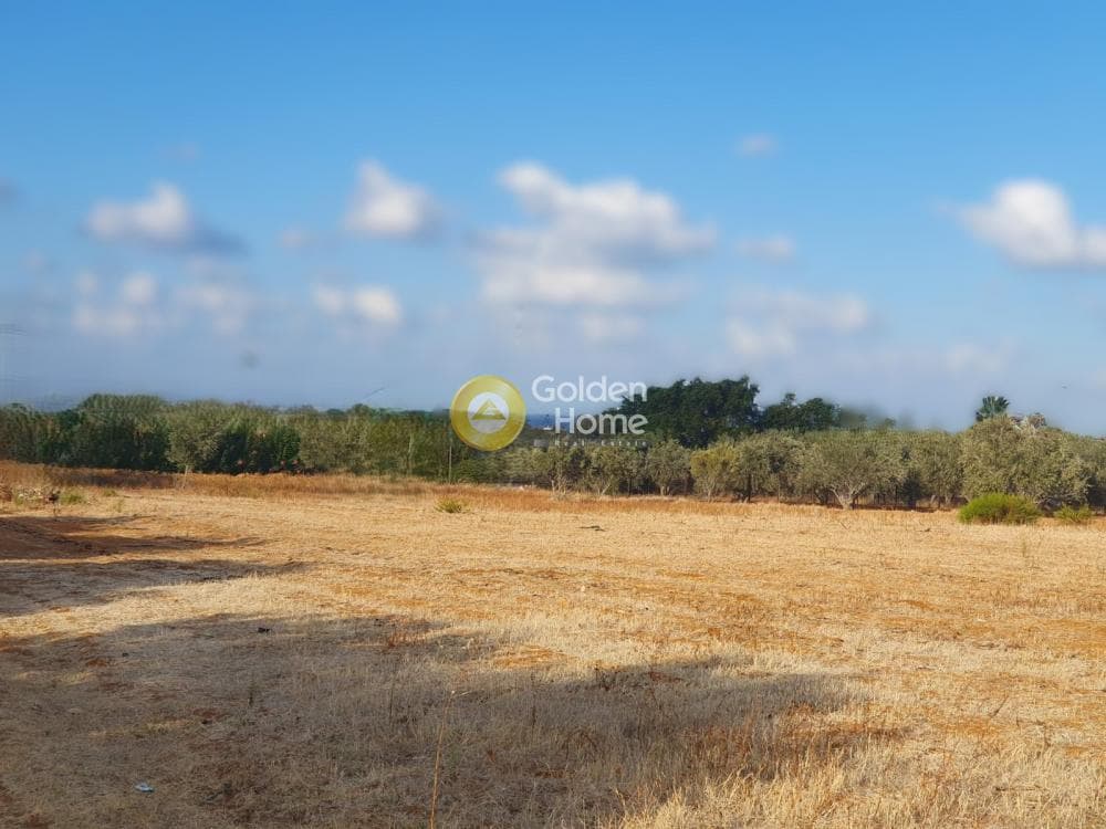 Οικόπεδο στην Κάτω Γούβες, Γούβες — Φωτογραφία 2 από 3