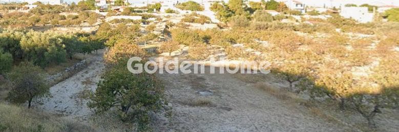 Οικόπεδο στην Κυψέλη, Αίγινα — Φωτογραφία 3 από 3