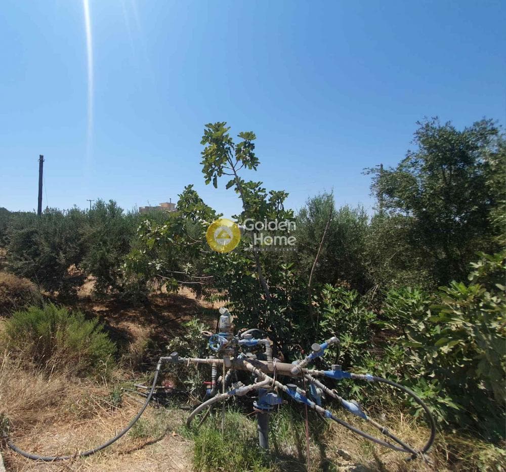 Αγροτεμάχιο στην Κέντρο, Αρχάνες — Φωτογραφία 2 από 2