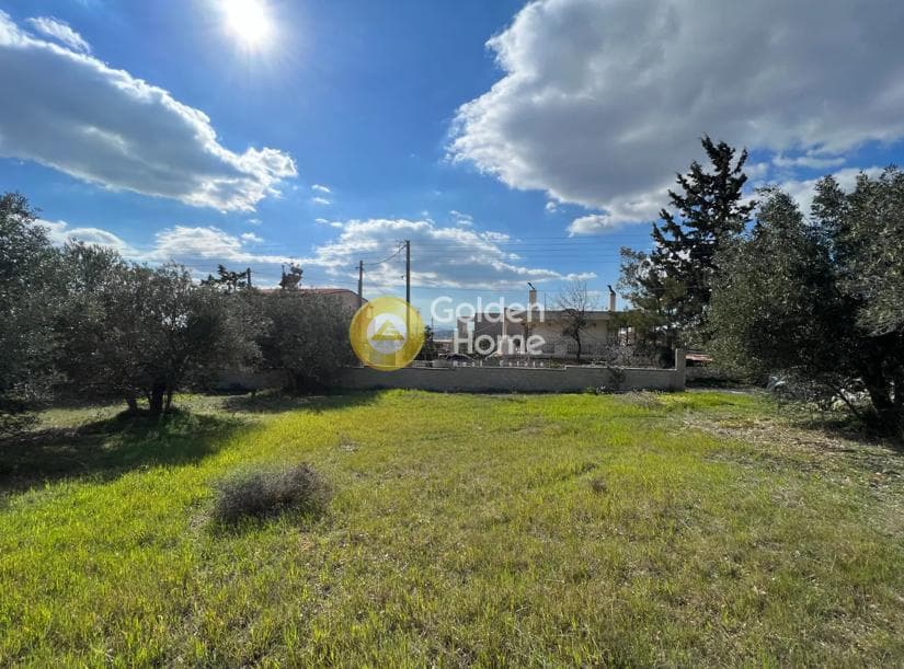 Building Plot in Kalivia, Kalivia Thorikou — Photo 1 of 8