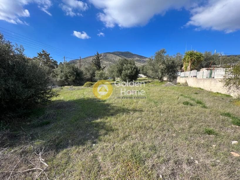 Building Plot in Kalivia, Kalivia Thorikou — Photo 4 of 8