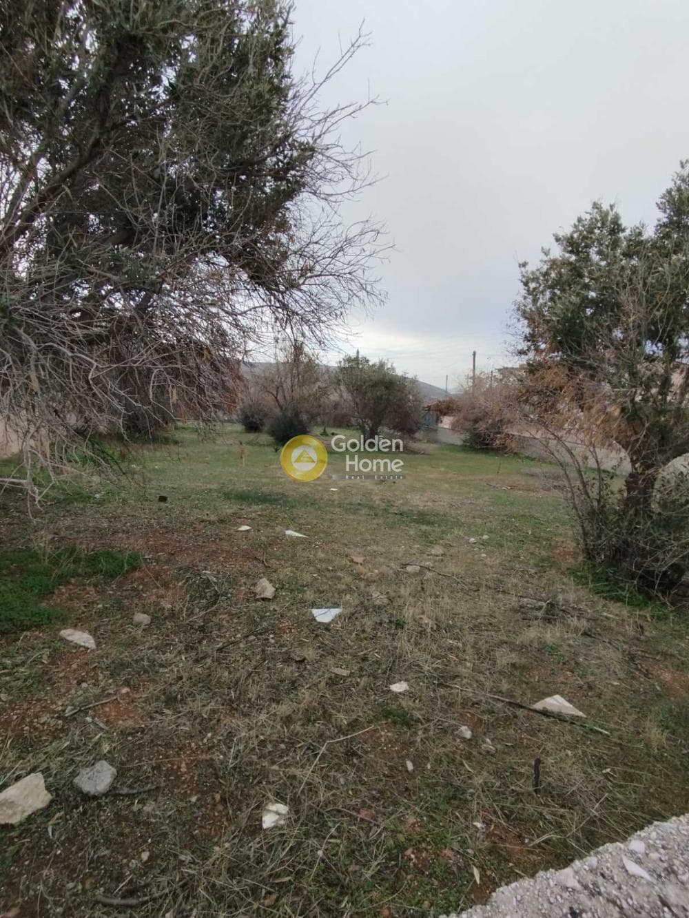 Building Plot in Kalivia, Kalivia Thorikou — Photo 8 of 8