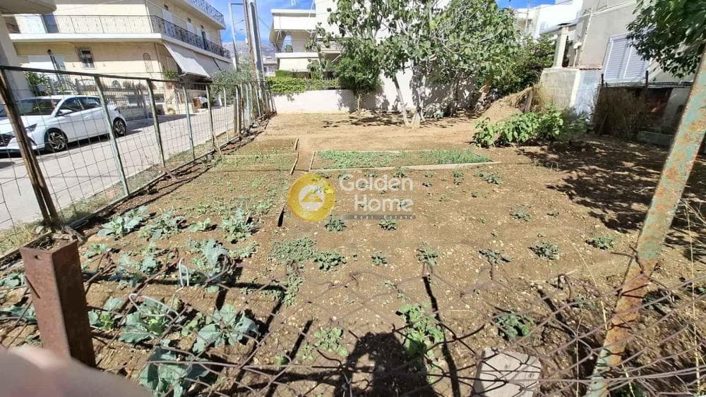 Building Plot in Megala Sxoinia A, Acharnes — Photo 3 of 4